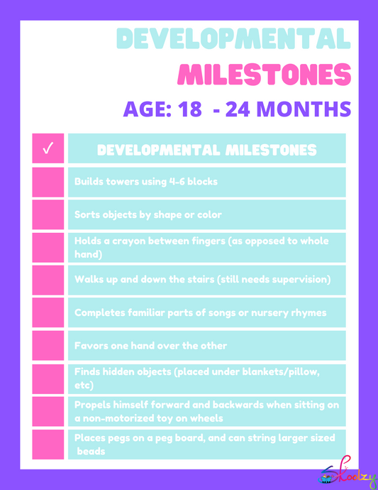 Developmental Milestones 18-24 months