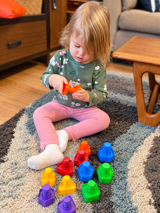 12 pc Jumbo Nuts and Bolts Set With Tote